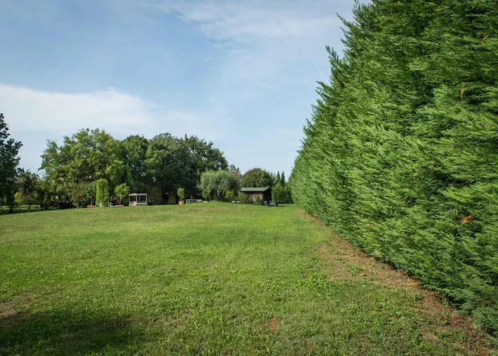 Cardinala - Ravenna -